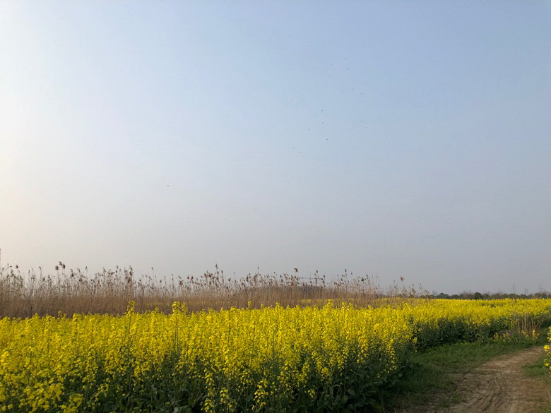 �������Ĵ�ɫ��+�Ͳ˻�