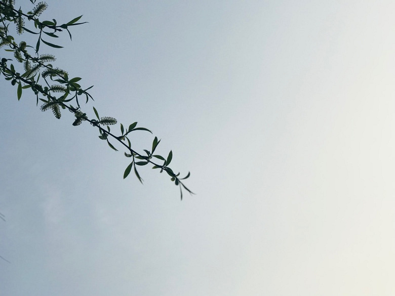 �����Ĵ�ɫ