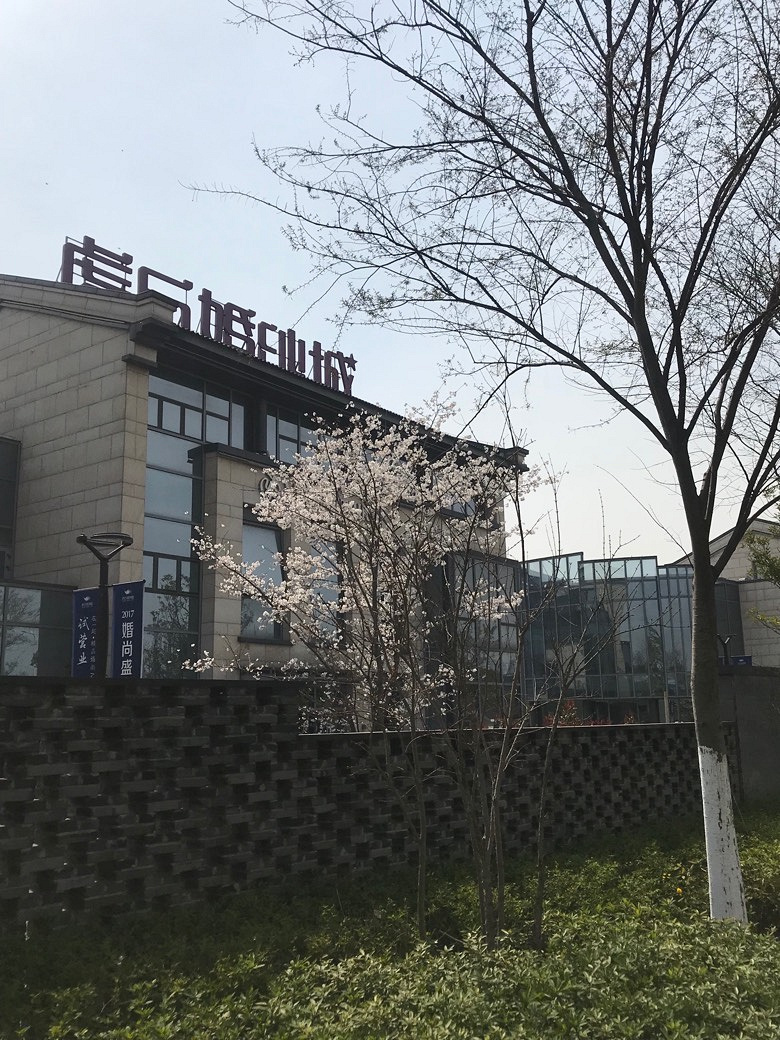 �������Ĵ�ɫ��������