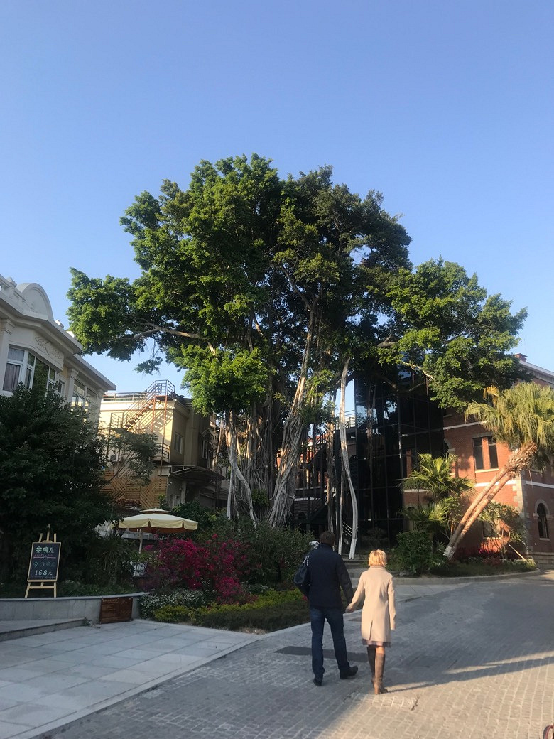 �������Ĵ�ɫ��������