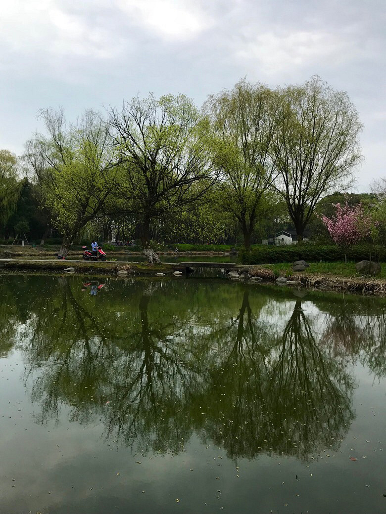 �Ϻ��� ��ӳ����