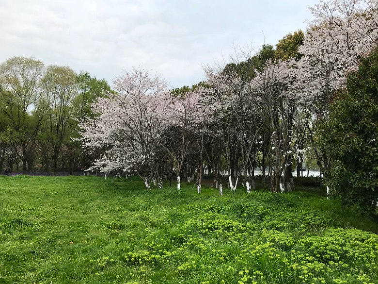 �Ϻ��� ��ӳ����