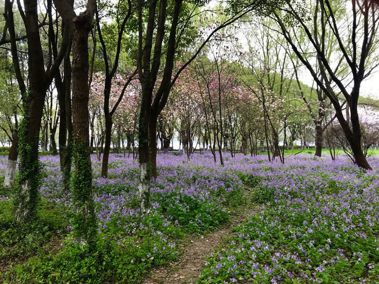 �Ϻ��� ��ӳ����