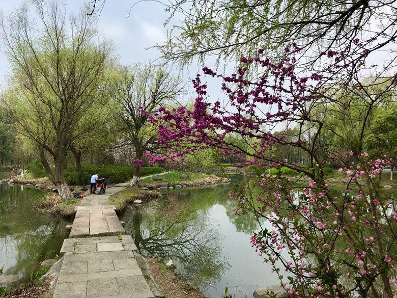 �Ϻ��� ��ӳ����