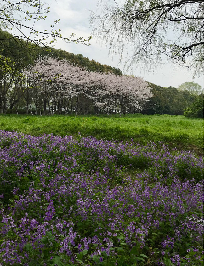 �Ϻ��� ��ӳ����