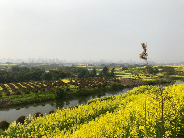 �ǽ�Ұ�� �е�����