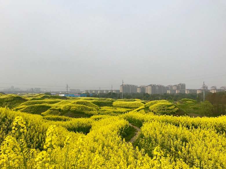 �ǽ�Ұ�� �е�����