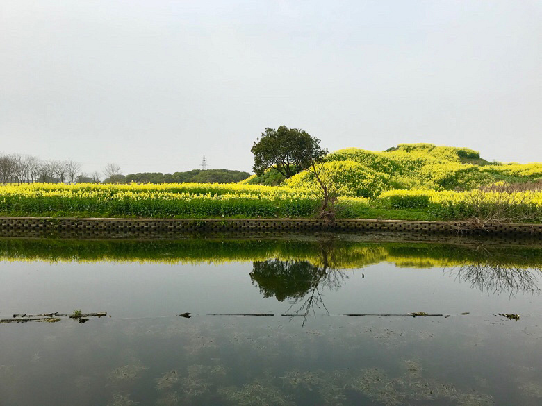 �ǽ�Ұ�� �е�����