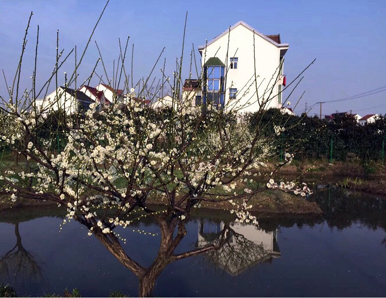 �����Ϸ��� д���½��ϡ�