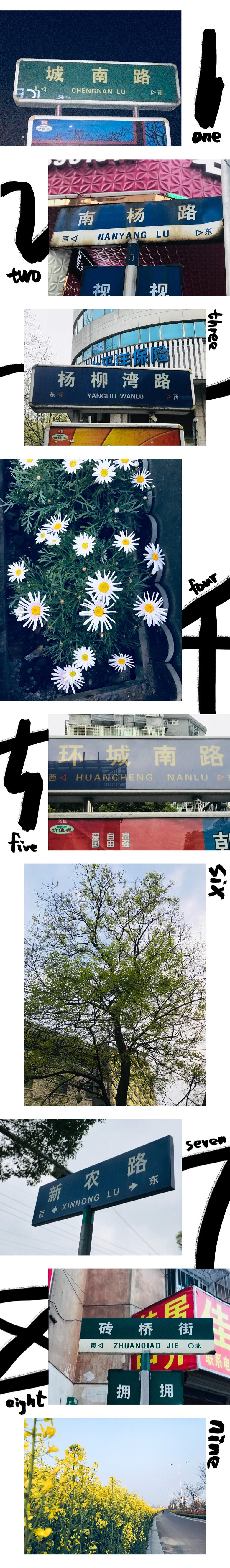 ��·�ƣ��ڰ˵�