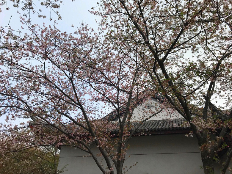 �������ϡ�