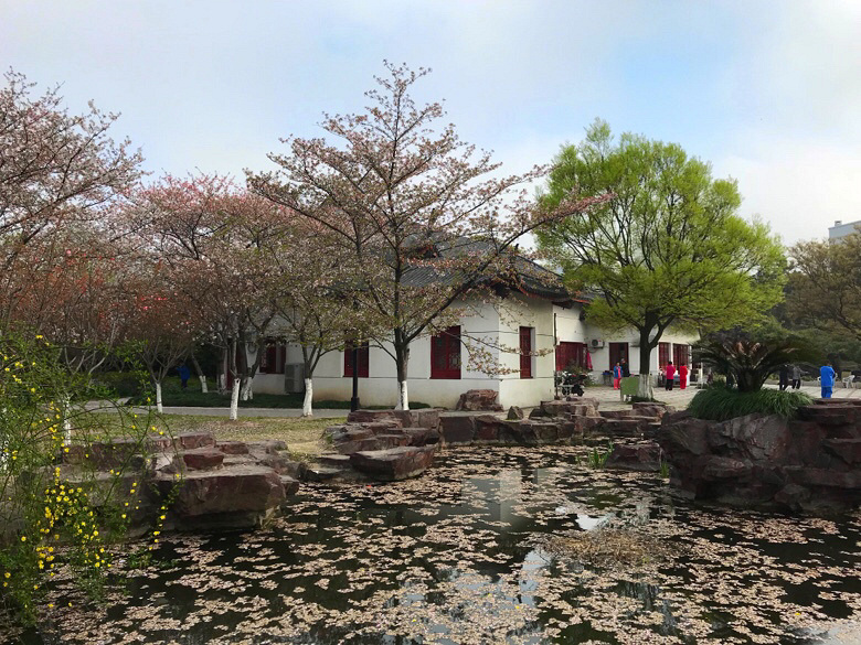 �������ϡ�