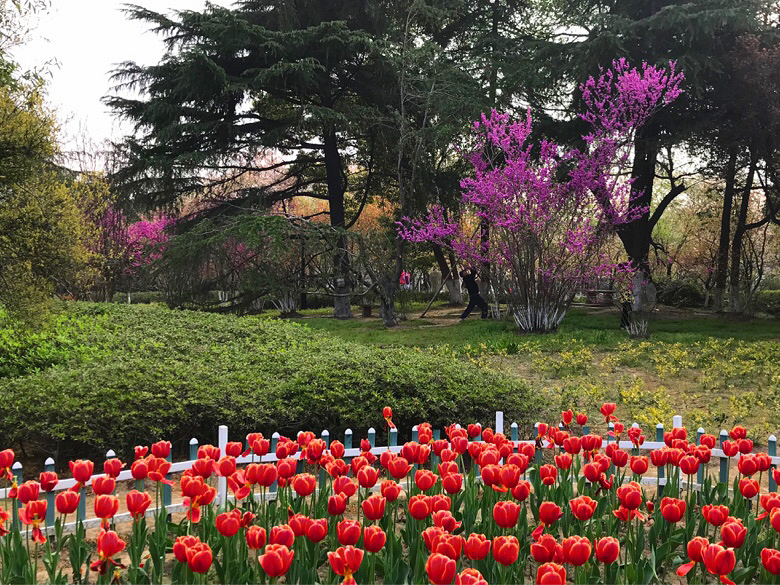 �������ϡ�