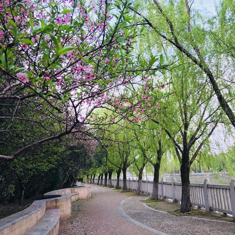 �����Ҫ���ؽ�ҽԺ��