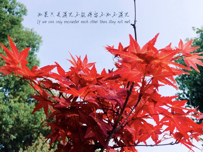 4�£��������޵ĺ�