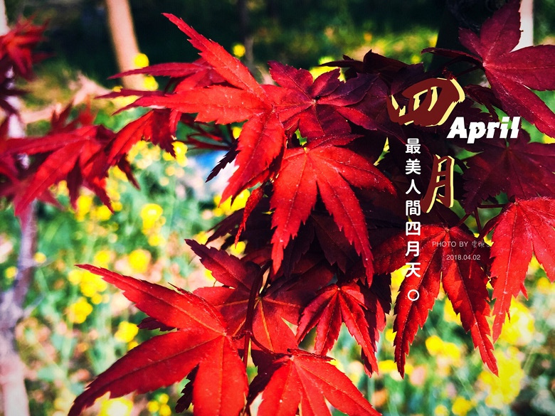 4�£��������޵ĺ�