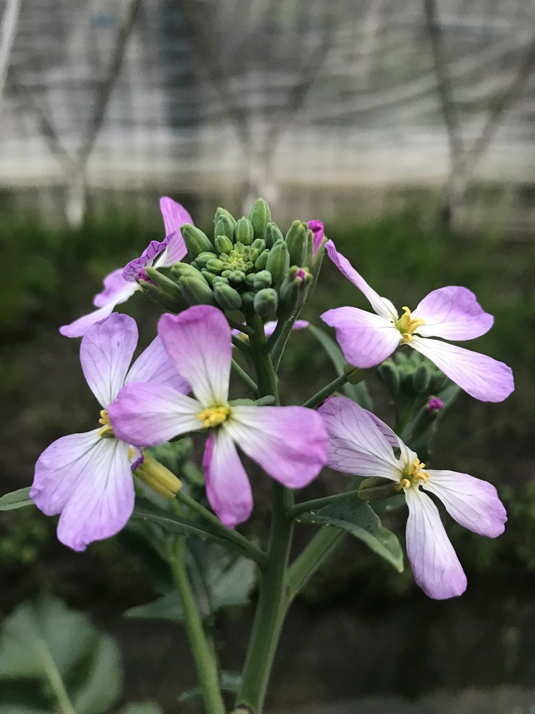 �²������ʲô��