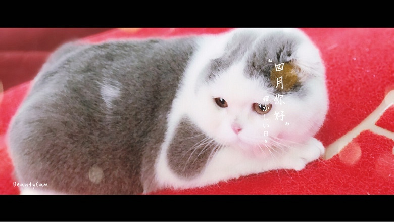 ����һ�����������ط羰��������