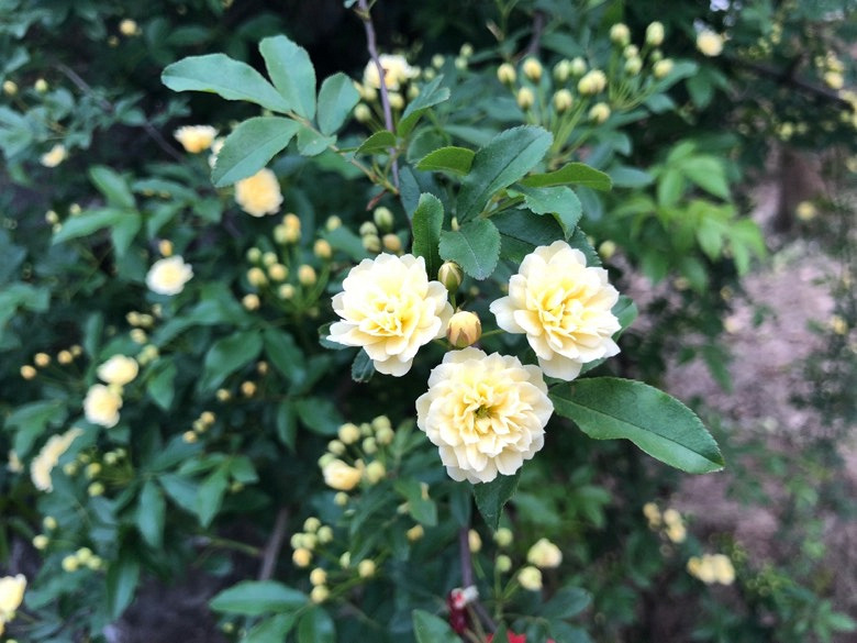 ����ѡ��3��000