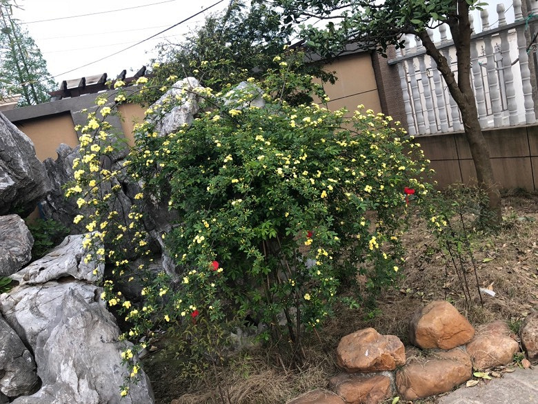 ����ѡ��3��000