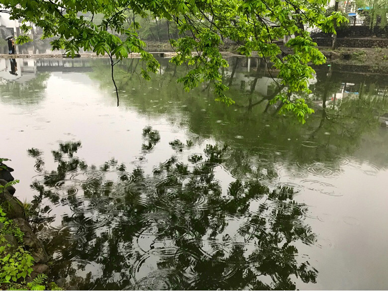 ������ϸ��䣬̤����ʯ�ŵ������ż�΢ʪ����ǳ����