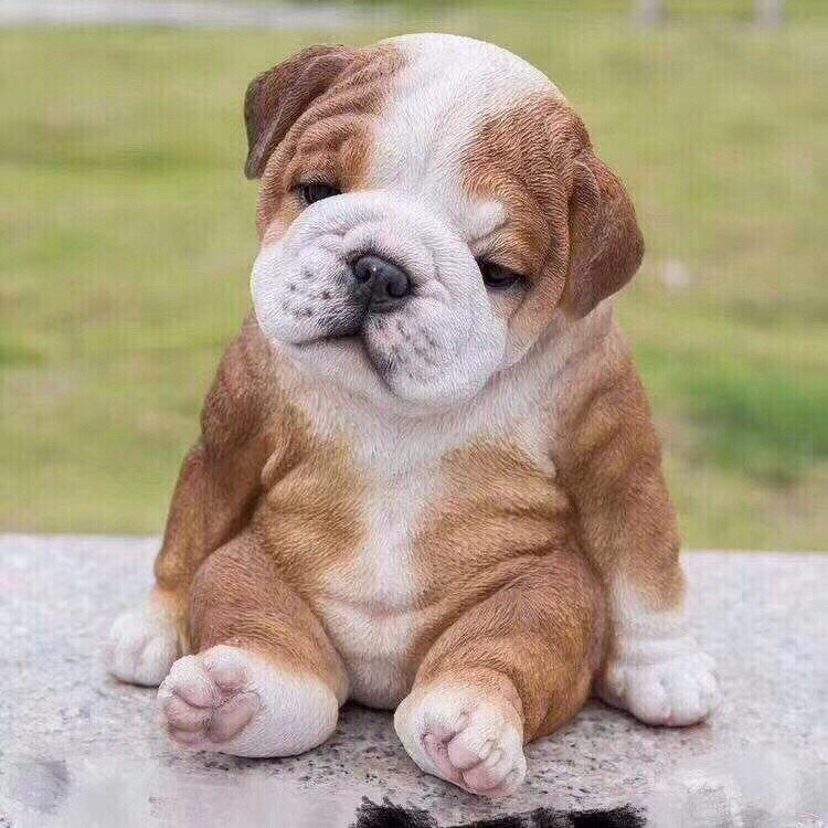 ���鲻ˬ��ʱ�������Ȧ������һ�㡢��