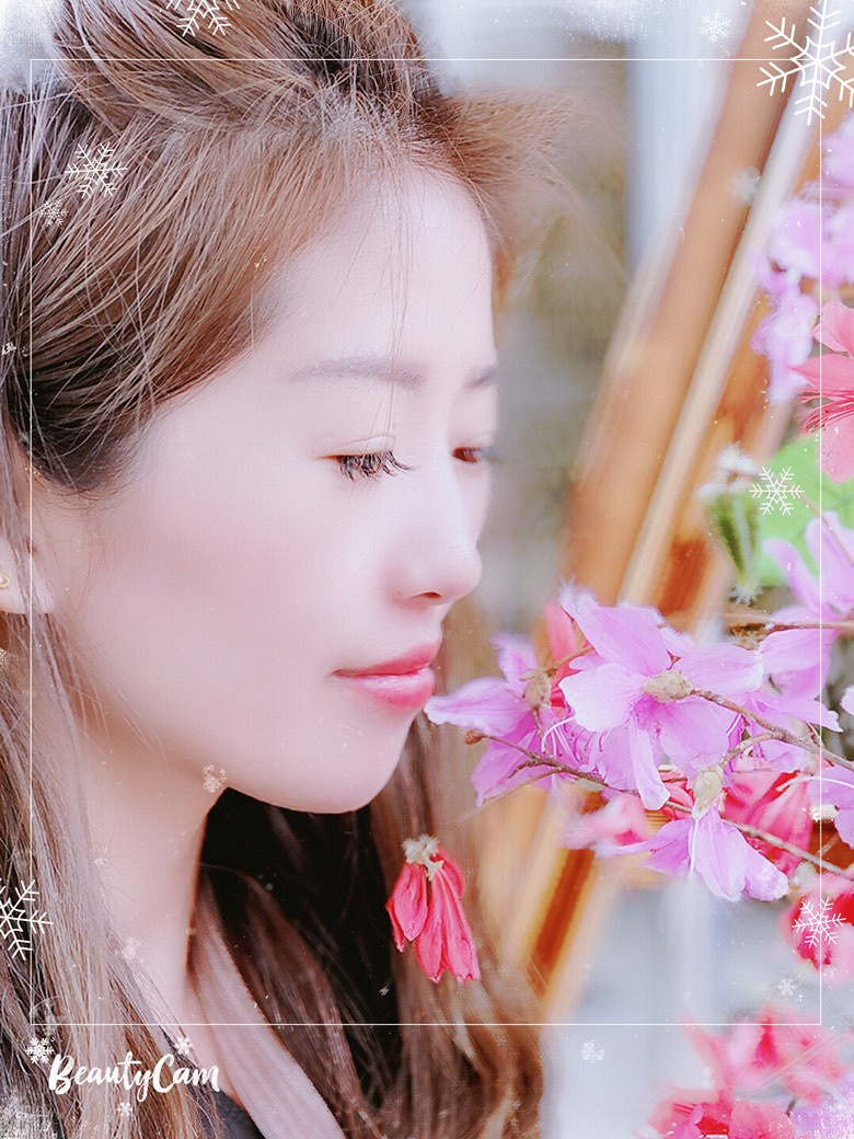 ���ι���