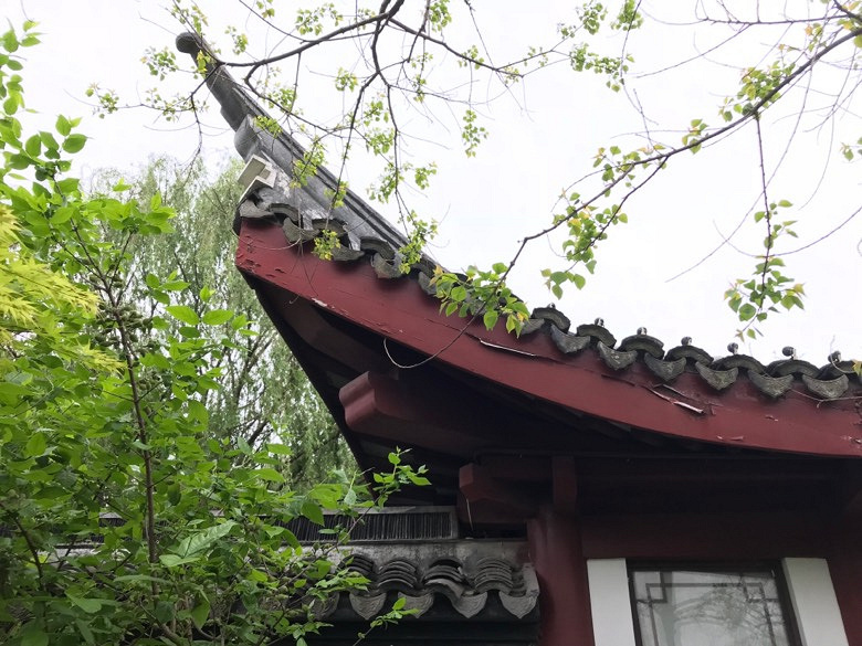 �е�С���ؽ���