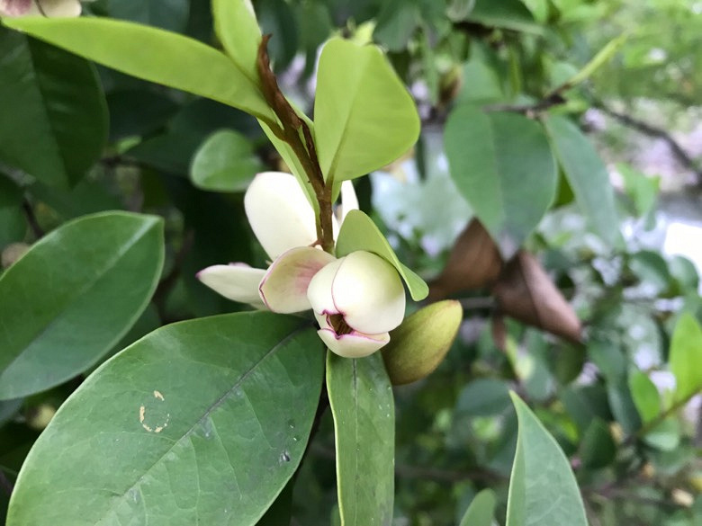 �е�С���ؽ���