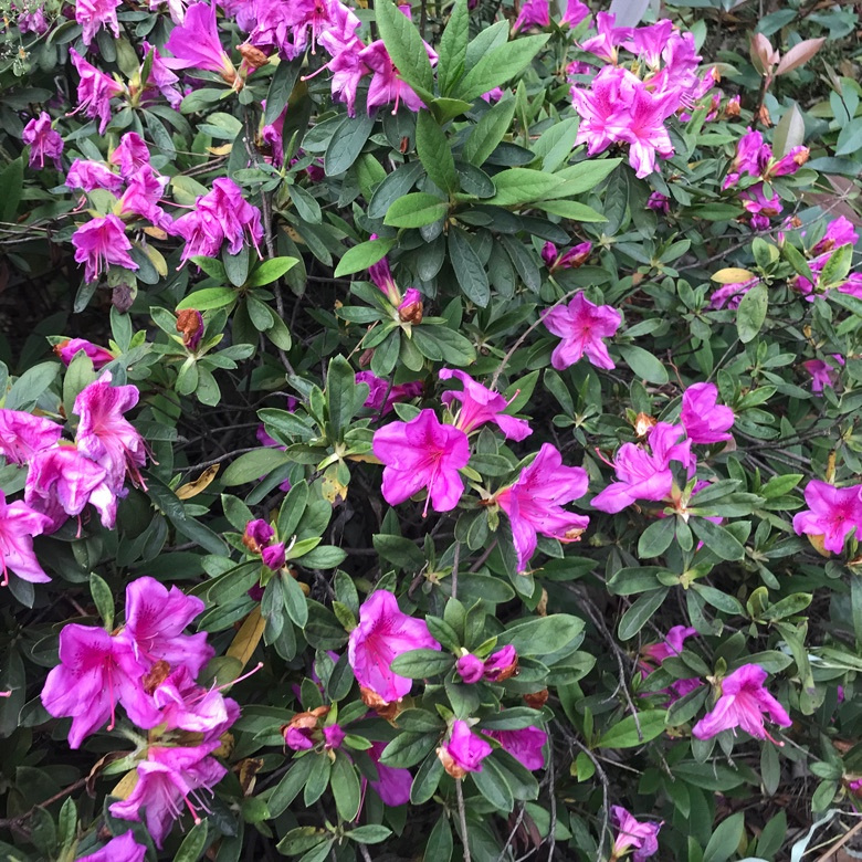 ���������ӵ���͵͵��¥ת��ת