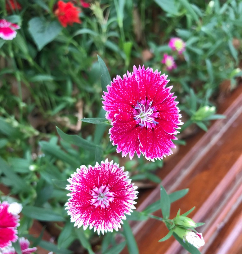 �������ǳ���Ϸ����