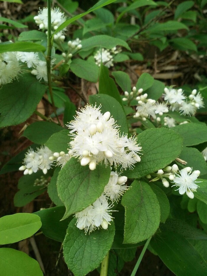 ��ů���������ٽ�