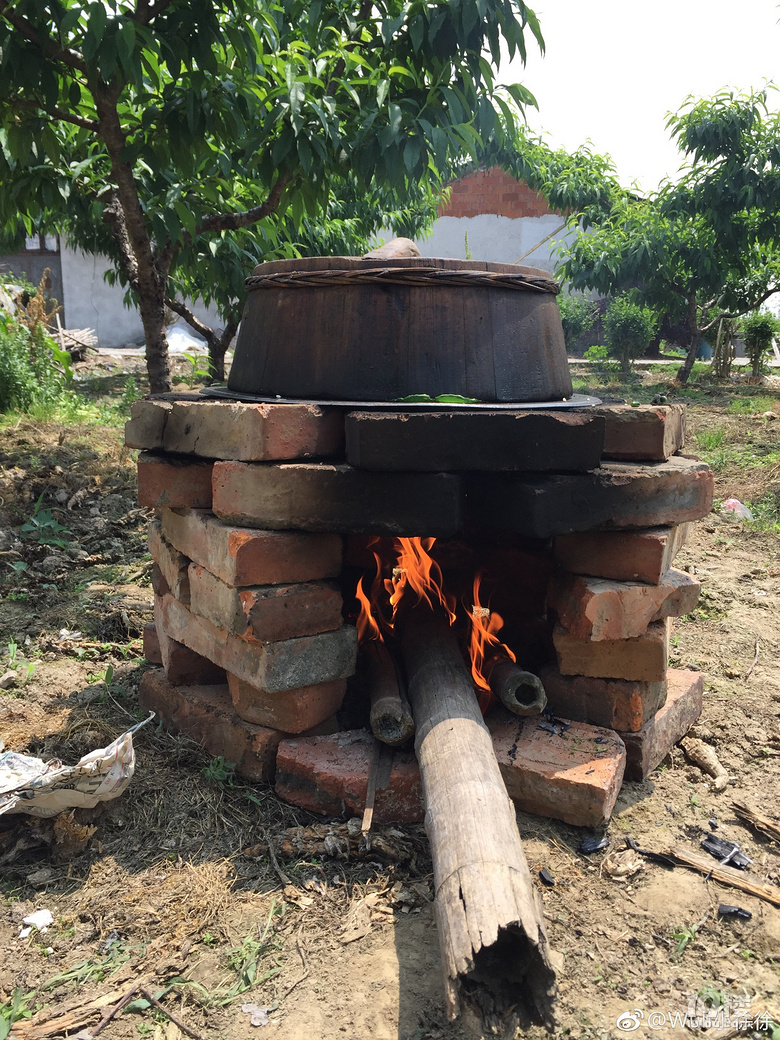 嘉兴人才懂!每年立夏嘉兴人都要干这件事