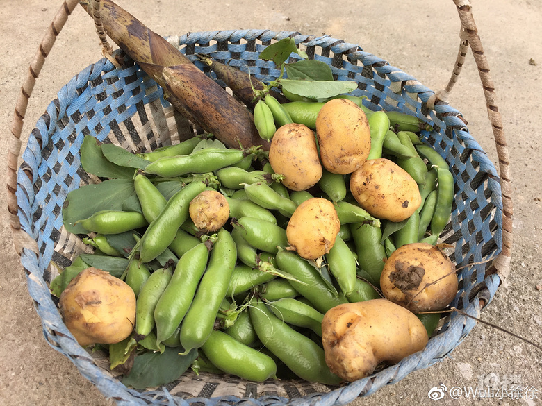 嘉兴人才懂!每年立夏嘉兴人都要干这件事