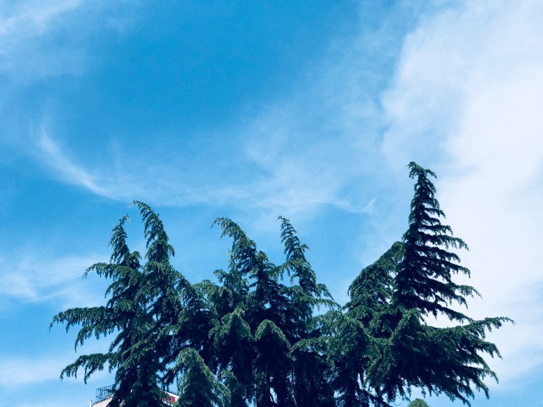 �������õ�����