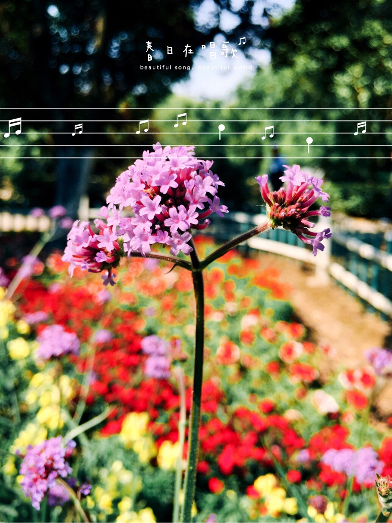 �����ڸ質