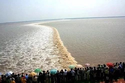 天气清爽舒适,嘉兴明天起晴歌小曲儿连