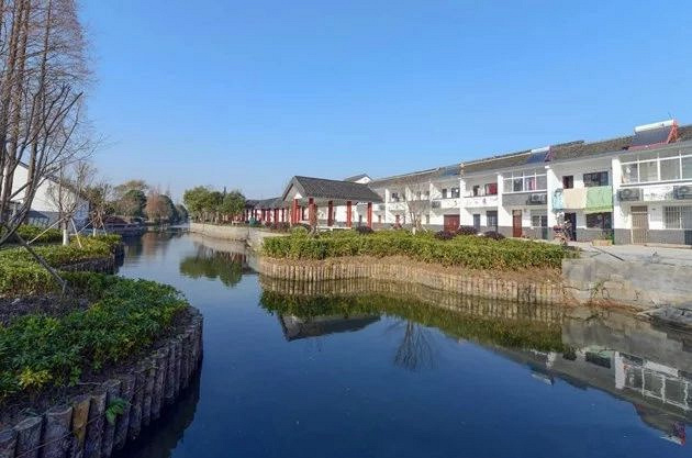 嘉善这个村要出名了明天媒体要向全省直播