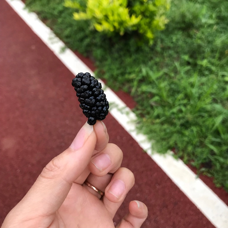 ����inƷ������Ȼ���ٺ�