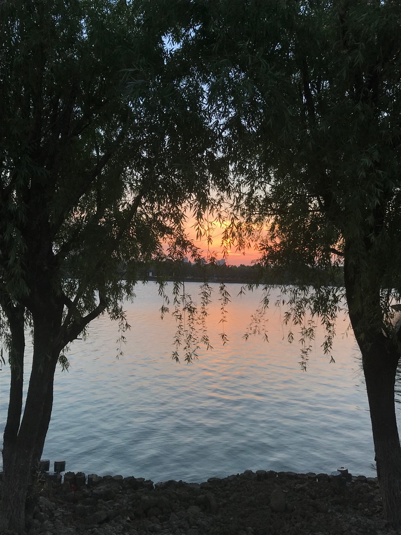 ����һ��