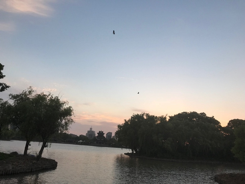 ����һ��