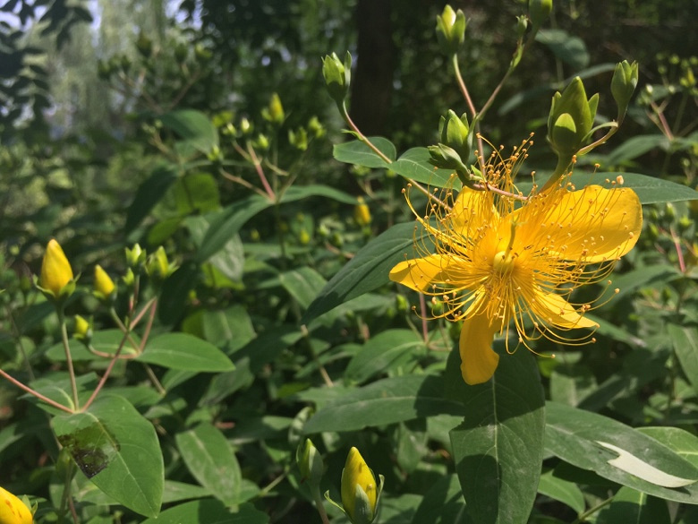 ��Ȼ���ȣ�������������hahaha