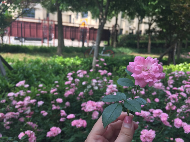 ��Ȼ���ȣ�������������hahaha