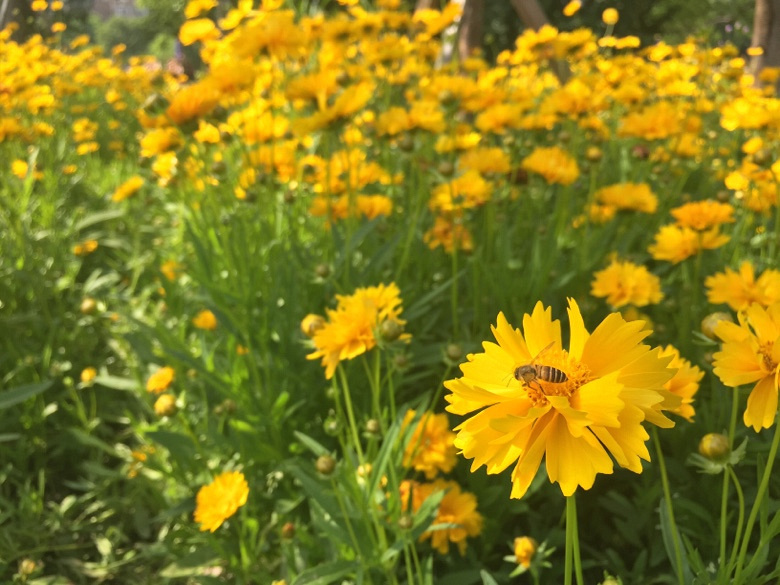 ��Ȼ���ȣ�������������hahaha