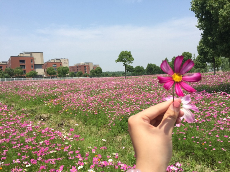 ��Ȼ���ȣ�������������hahaha