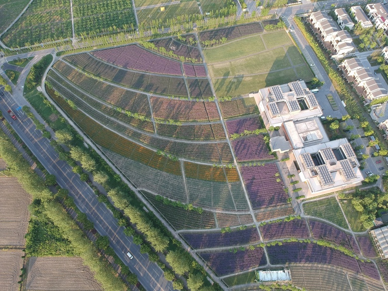 ���ӻ��ˡ�