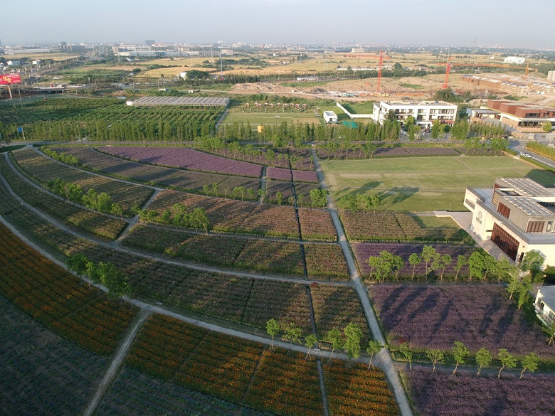 ���ӻ��ˡ�