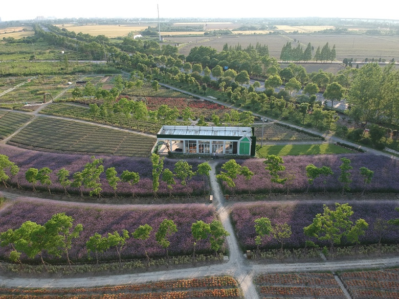 ���ӻ��ˡ�