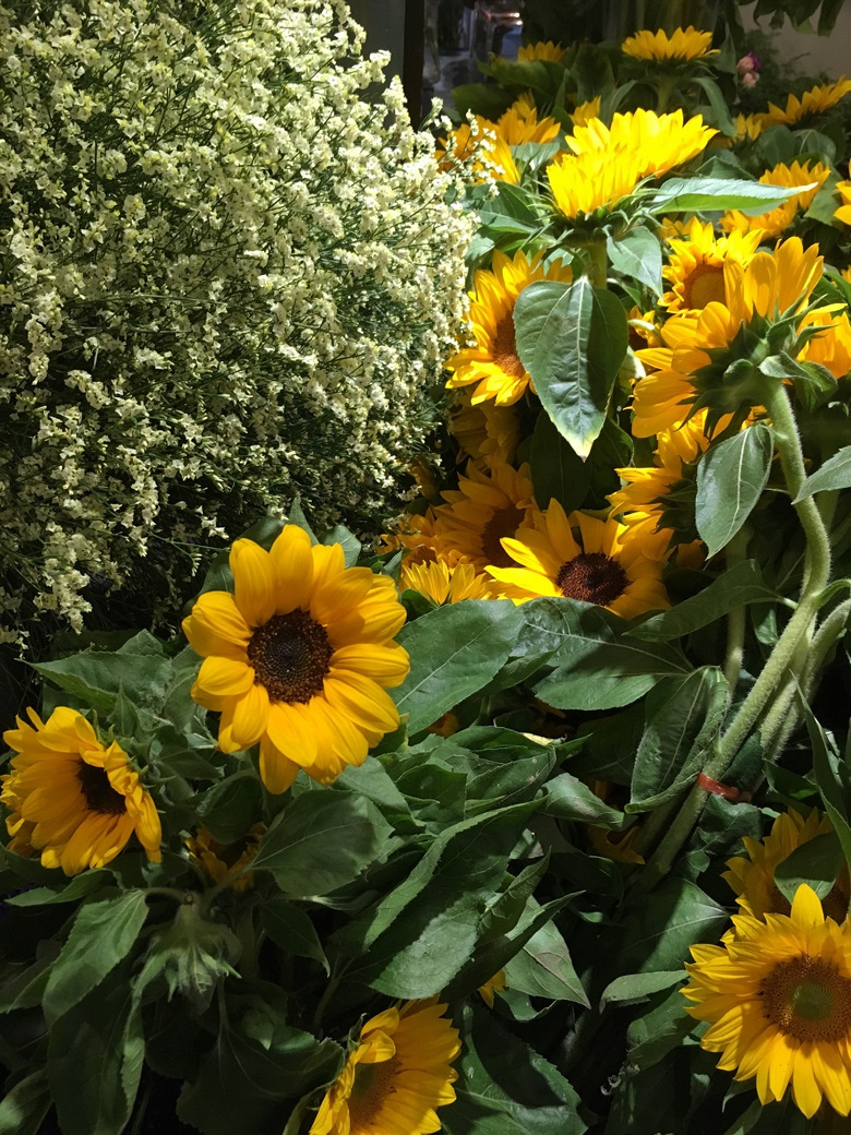 520 还有一种爱叫做爱自己【月河篇】