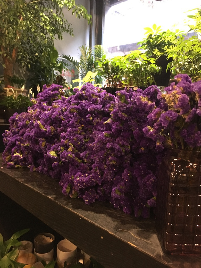 520 还有一种爱叫做爱自己【月河篇】